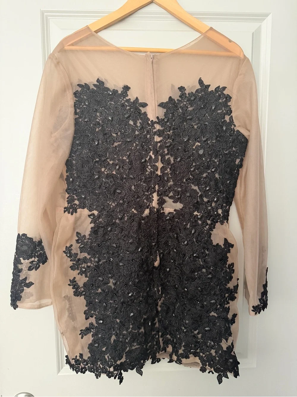 Sheer Nude Long-Sleeve Dress with Black Lace Appliqué